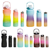 3 PCS Water Bottles With Straw