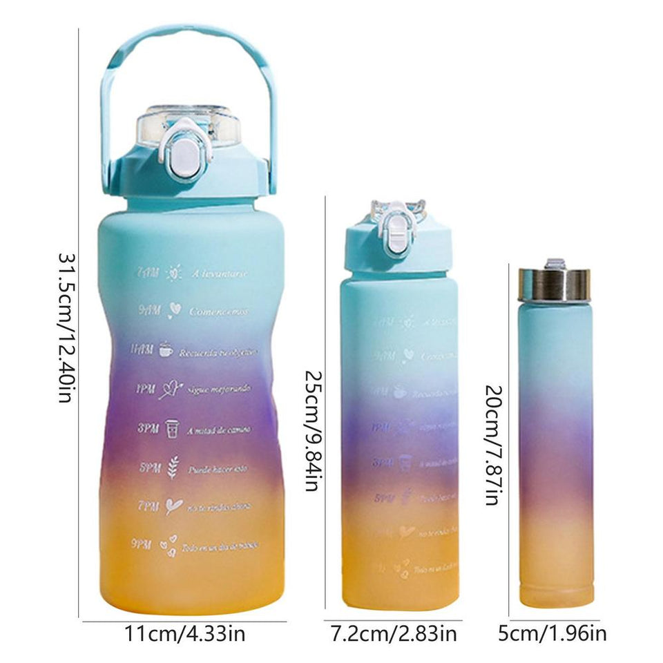 3 PCS Water Bottles With Straw